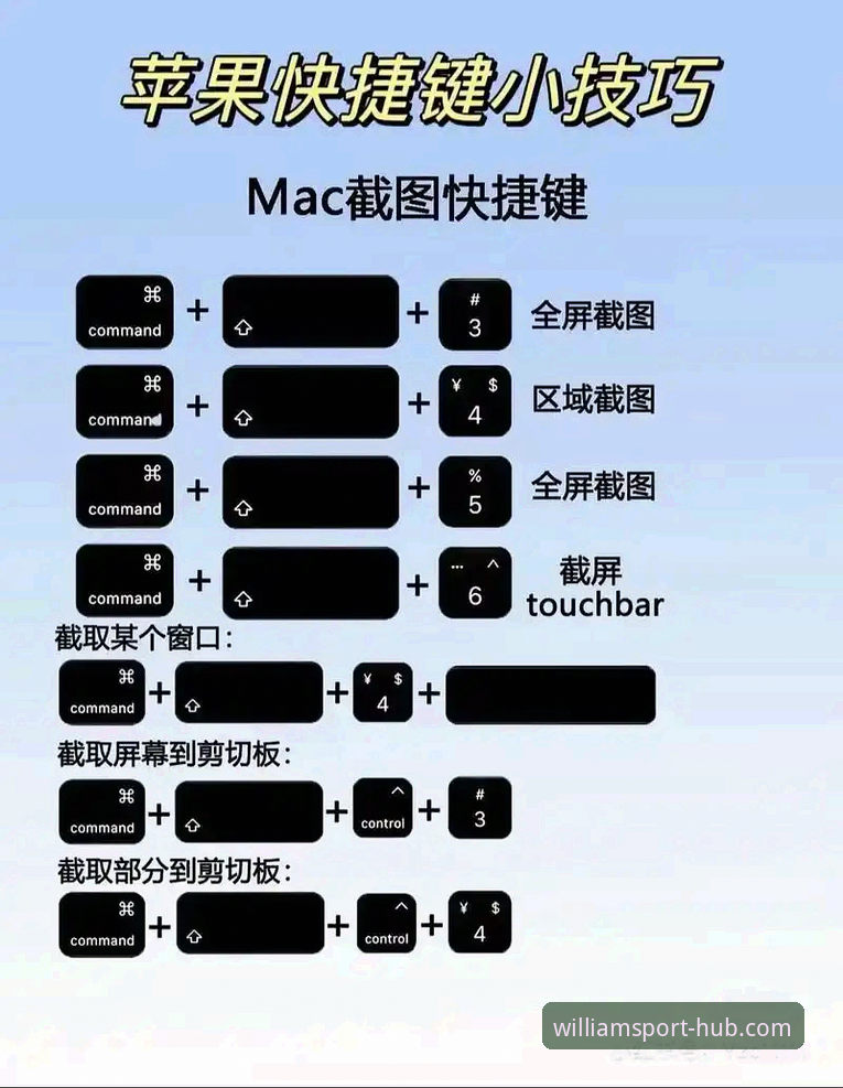 威廉希尔下载教程：新手入门到精通的操作指南